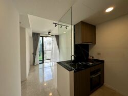 Irwell Hill Residences (D9), Apartment #536278411